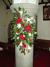 Christmas flowers 2010
