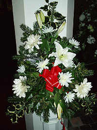 Christmas flowers 2010